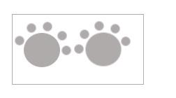 Layout 2